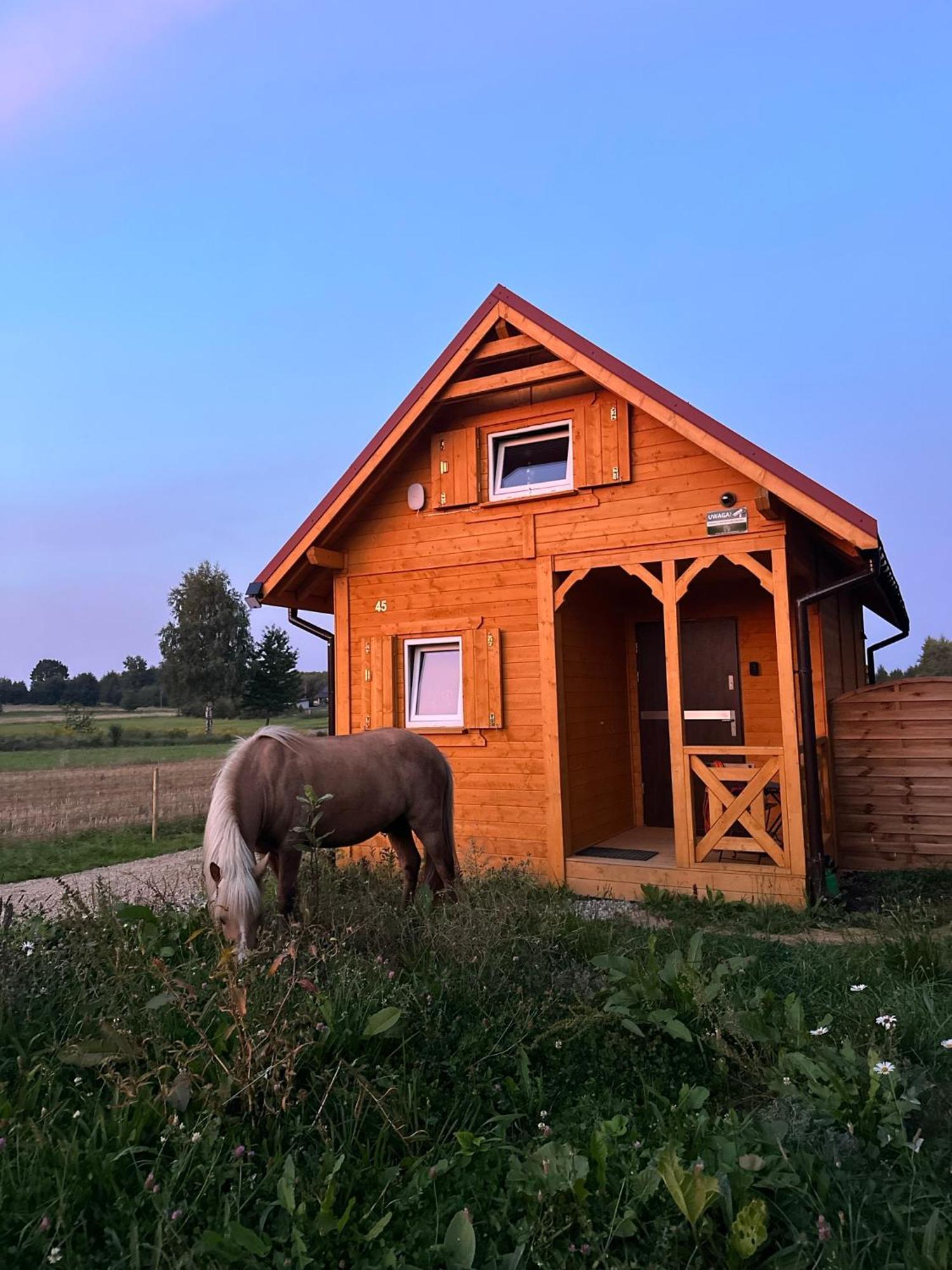 Islandzka Holiday home
